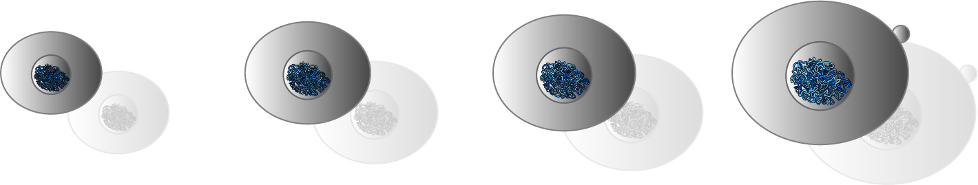 replisome an mutation